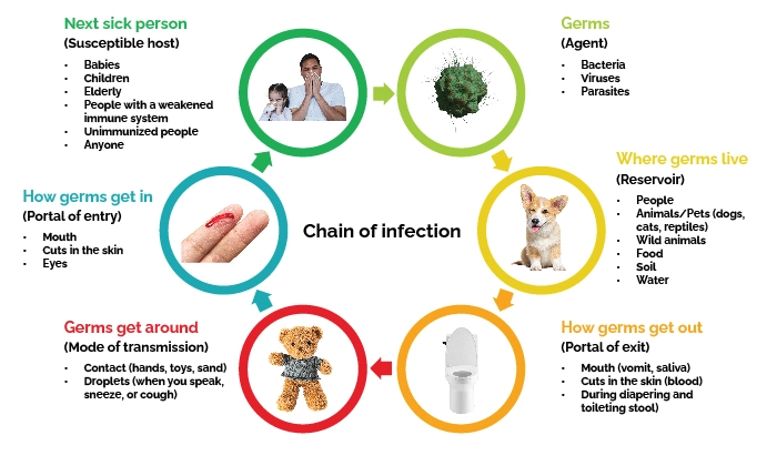 chain of infection